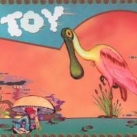 Toy - Toy