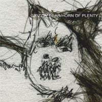 Grizzly Bear - Horn of Plenty