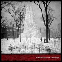 The White Stripes - Live in Mississippi