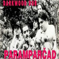Darkwood Dub - Paramparčad