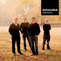 Darkwood Dub - Jedinstvo