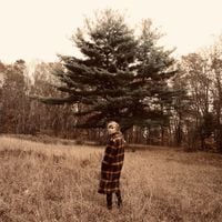Taylor Swift - willow (the witch collection)