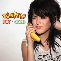 Katy Perry - Hot n Cold (Rock Version)