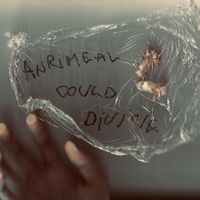 anrimeal - Could Divine
