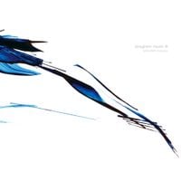 柏大輔 [Daisuke Kashiwa] - Program Music III