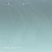 Spiritbox - Constance