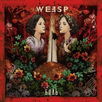 Weesp - Weesp
