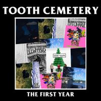 tooth cemetery - the first year