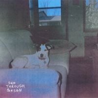 see through person - chariot