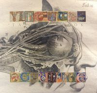Taylor Brook - Virtutes Occultae