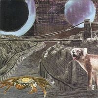 Deerhoof - Green Cosmos