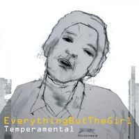 Everything But the Girl - Temperamental