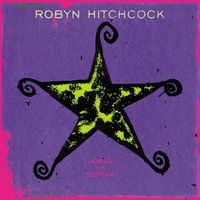 Robyn Hitchcock - Jewels for Sophia
