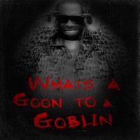 Lil Wayne - What&rsquo;s A Goon To A Goblin?
