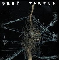 Deep Turtle - Turkele!!