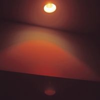 Celer - I Wish You Could
