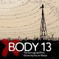 Body 13 - #006: The Damaging Effect Electricity Has on Wood