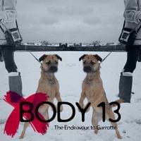 Body 13 - #008: The Endeavour to Garrotte