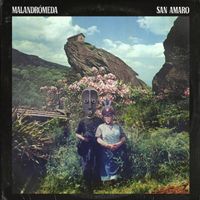 Malandr&oacute;meda - San Amaro