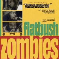 Flatbush Zombies - Flatbush Zombies Live - 8/13/20 - Los Angeles, CA