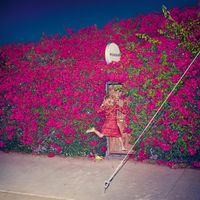 Feist - Century