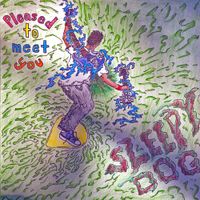 Sleepy Dog - Pleased To Meet You
