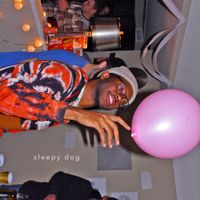 Sleepy Dog - Sleepy Dog