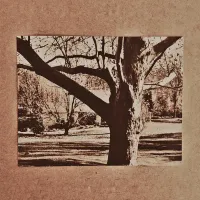 life - demo four