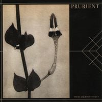 Prurient - The Black Post Society