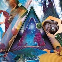 311 - Universal Pulse