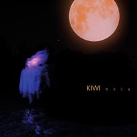 KIWI - Nocą