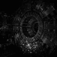Strigae - I​:​Collision