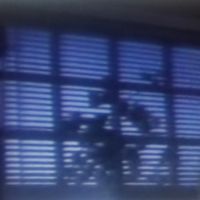 Webdriver胴体 - 花が萎凋