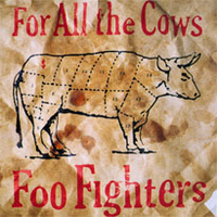 Foo Fighters - For All the Cows