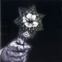 Terry Riley - Music for the Gift