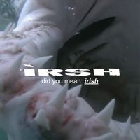 Various Artists - Did You Mean: Irish