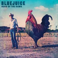Bluejuice - Head of the Hawk