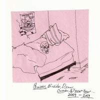 Teen Suicide - Rarities, B-Sides, Demos, Outtakes, & Secret Songs... 2009-2019