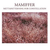 Mamiffer - Mettapatterning for Constellation
