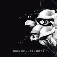 Siouxsie and the Banshees - Classic Album Selection, Volume One