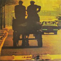 Ronnie Lane - Anymore for Anyone