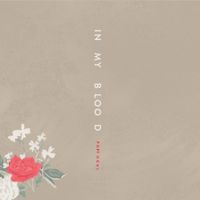 Shawn Mendes - In My Blood (Portuguese Version)
