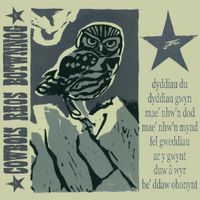 Cowbois Rhos Botwnnog - Dyddiau Du, Dyddiau Gwyn