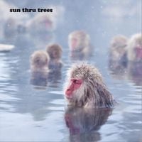 Sun Thru Trees - Mixtape 1