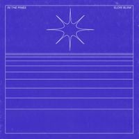 In The Pines - Slow Blink