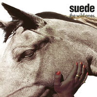 Suede - The Wild Ones
