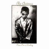 The Auteurs - Now I'm a Cowboy