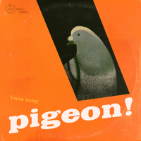 Louie Zong - pigeon!