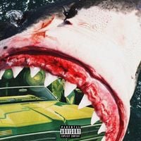 Big Kahuna OG & Monday Night - Shark Report