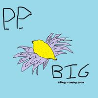 Prinport - Big Things Coming Soon